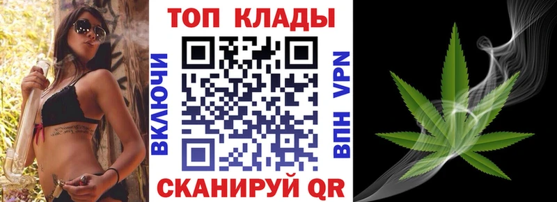 APVP Протвино