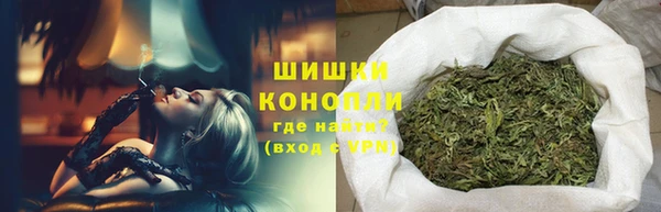 spice Аркадак