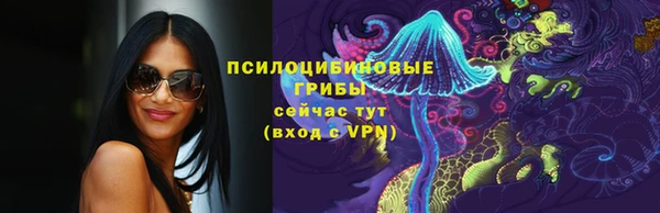 spice Аркадак