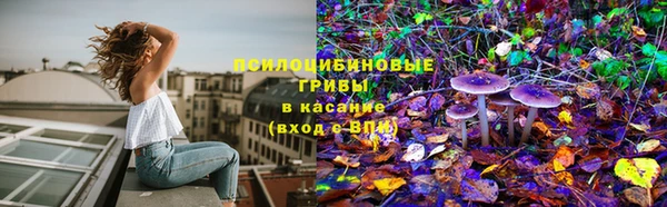 метадон Армянск