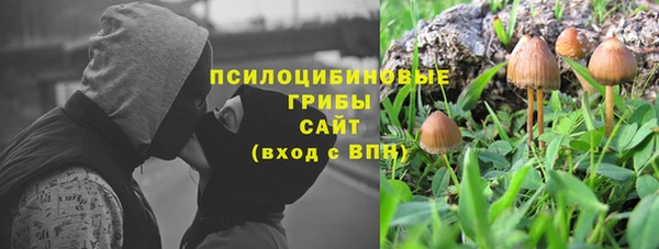 spice Аркадак