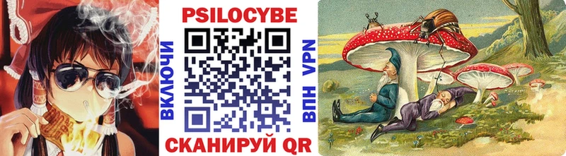 кракен tor  Протвино  Псилоцибиновые грибы Cubensis  купить  
